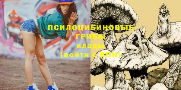 крисы Дмитриев