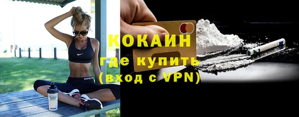 крисы Дмитриев