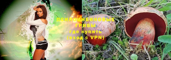 ALPHA PVP Дмитровск