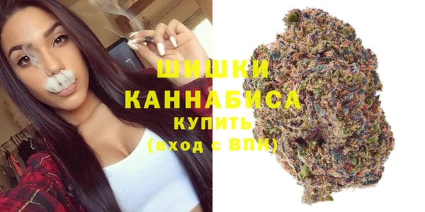 крисы Дмитриев